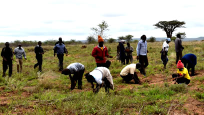 SEKU annual tree planting exercise
