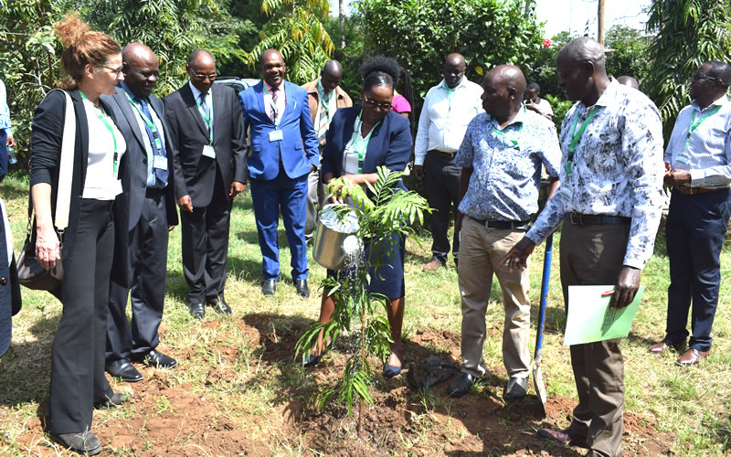 The Chief Guest waters her tree after the tree planting exercise.